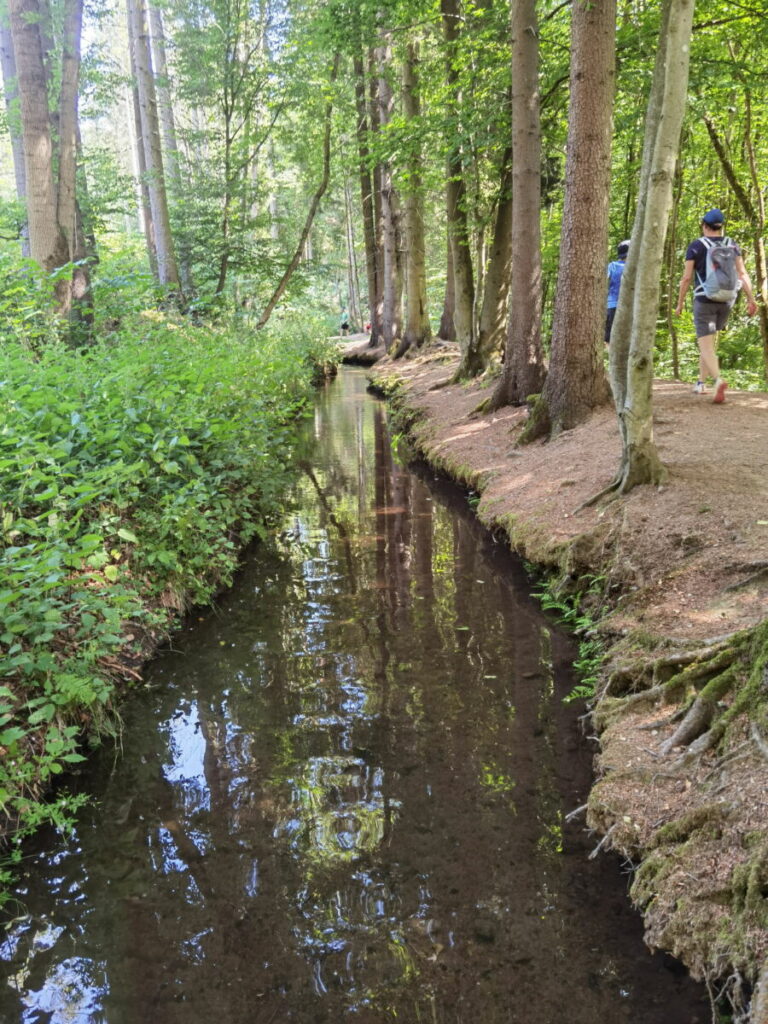 Trusetaler Wasserfall Wasserfallgraben